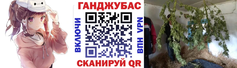 Магазины продажи наркотиков Новокубанск Гашиш  COCAIN  Псилоцибиновые грибы  Меф мяу мяу 