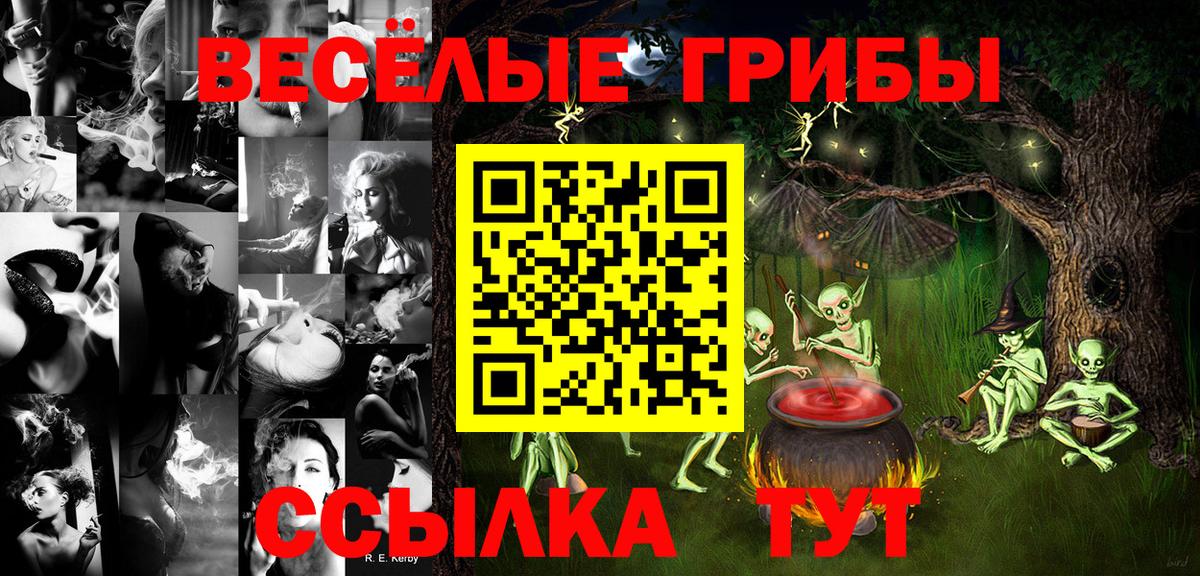 Галлюциногенные грибы GOLDEN TEACHER Новокубанск