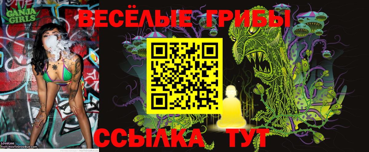 Псилоцибиновые грибы мицелий  Вход с VPN  Новокубанск 